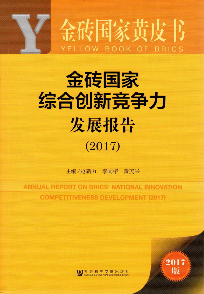 操日本熟女操逼操逼大黑逼视频金砖国家综合创新竞争力发展报告（2017）